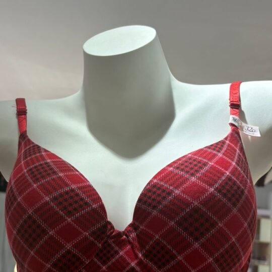 Soutien rouge à carreaux
